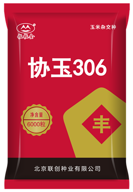 協玉306